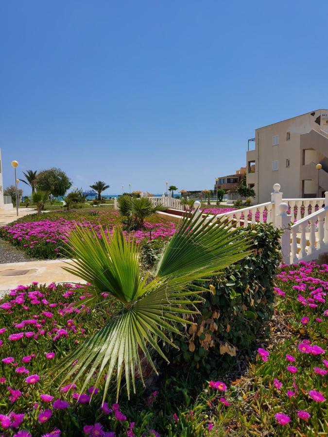 Apartamento Naturista En Primera Linea En Natura World! Vera Extérieur photo